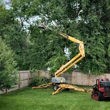 How Our Tree Care Process Works  in  Waukesha, WI