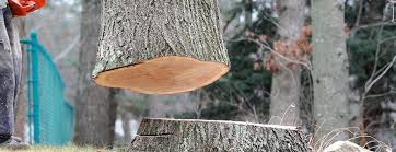 Best Emergency Tree Removal  in Waukesha, WI