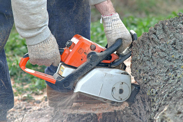 Best Lawn Mowing  in Waukesha, WI